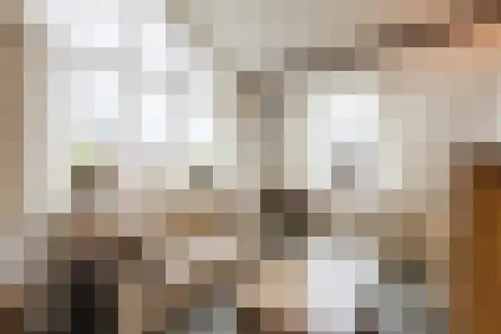 Nassaustraat 4 Vroomshoop thumbnail 4