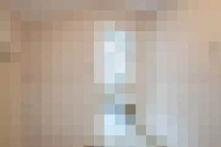 Nassaustraat 4 Vroomshoop thumbnail 45