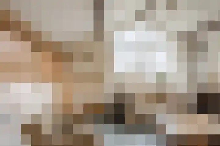 Nassaustraat 4 Vroomshoop thumbnail 46