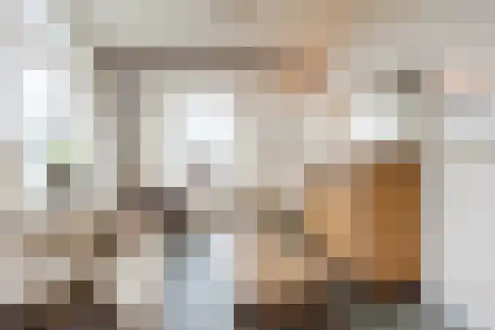 Nassaustraat 4 Vroomshoop thumbnail 47