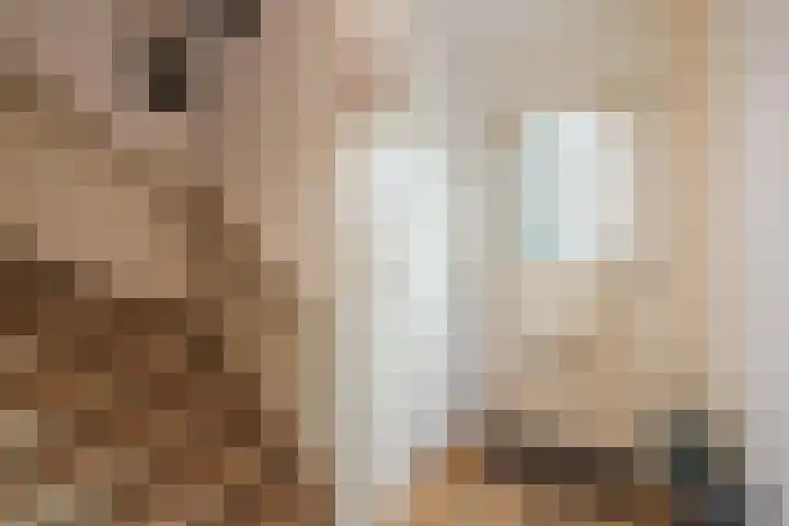 Nassaustraat 4 Vroomshoop thumbnail 5