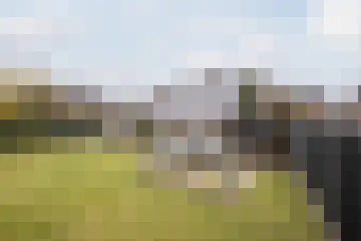 Nassaustraat 4 Vroomshoop thumbnail 50