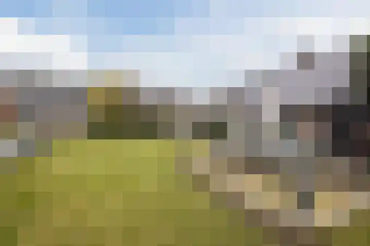 Nassaustraat 4 Vroomshoop thumbnail 57