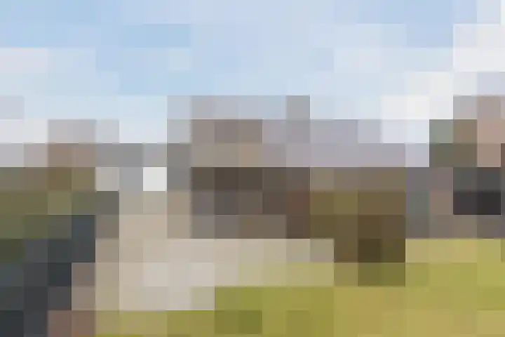 Nassaustraat 4 Vroomshoop thumbnail 58