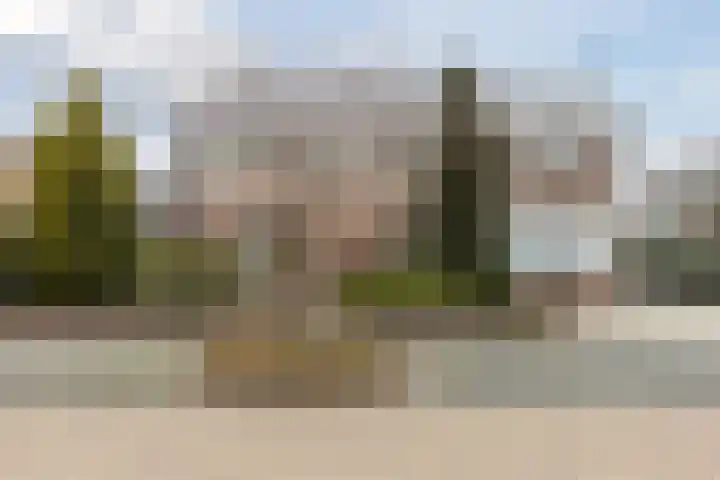 Nassaustraat 4 Vroomshoop thumbnail 60