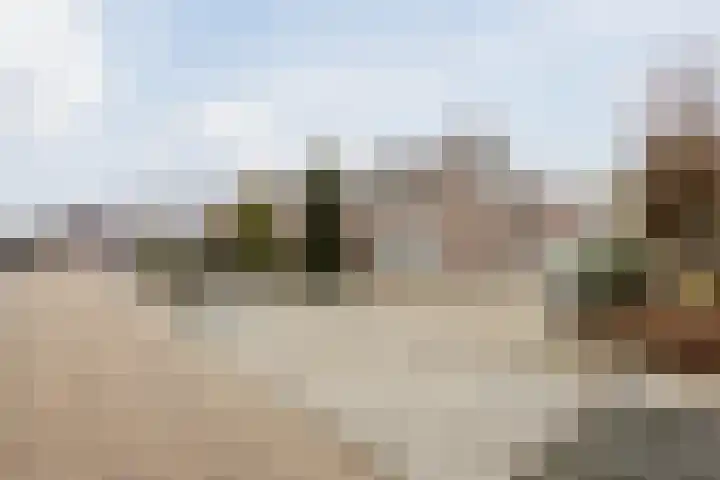 Nassaustraat 4 Vroomshoop thumbnail 62