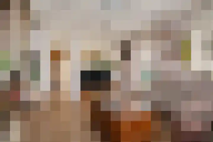 Nauerna 12 Assendelft thumbnail 10