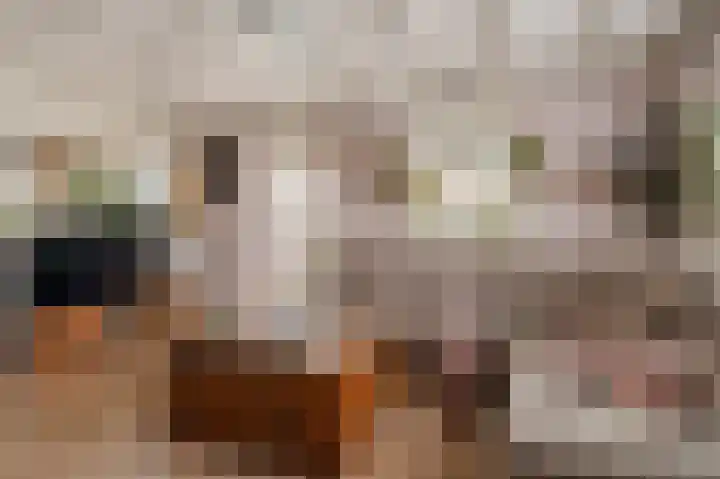 Nauerna 12 Assendelft thumbnail 11