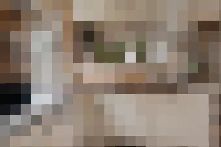 Nauerna 12 Assendelft thumbnail 16