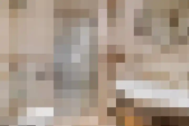 Nauerna 12 Assendelft thumbnail 19