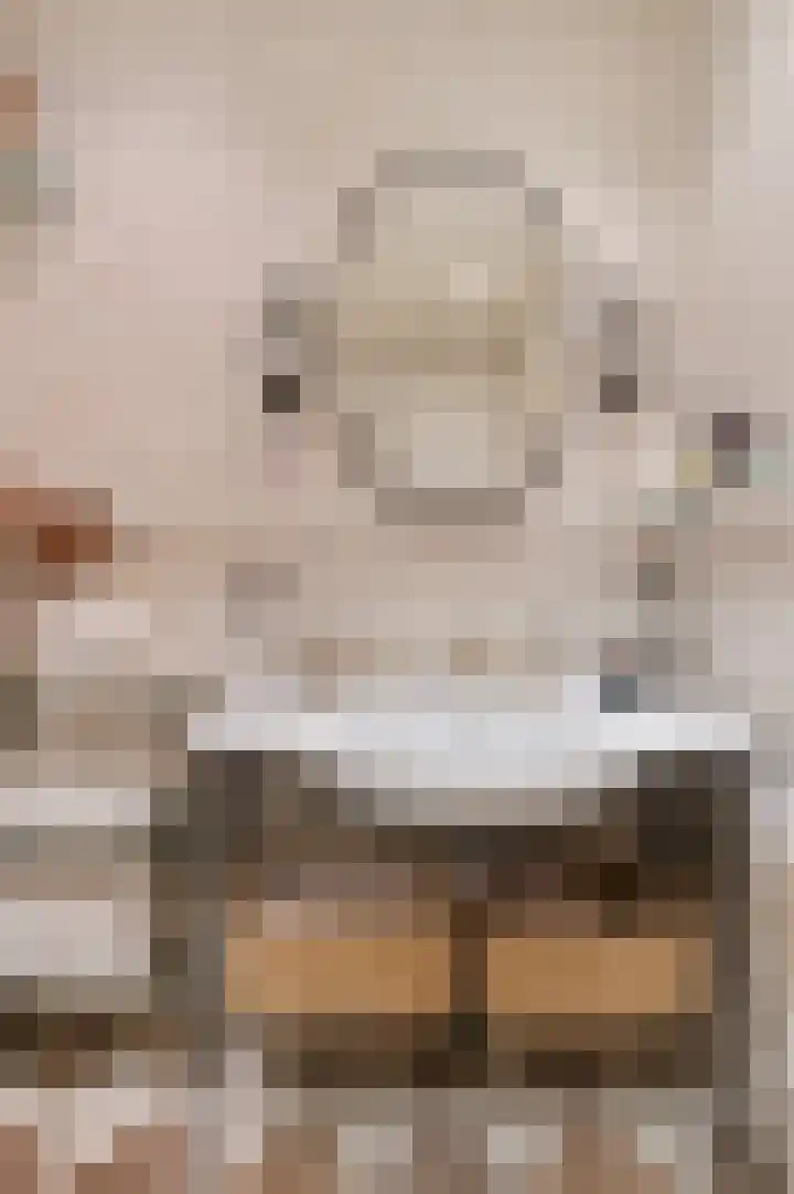 Nauerna 12 Assendelft thumbnail 20