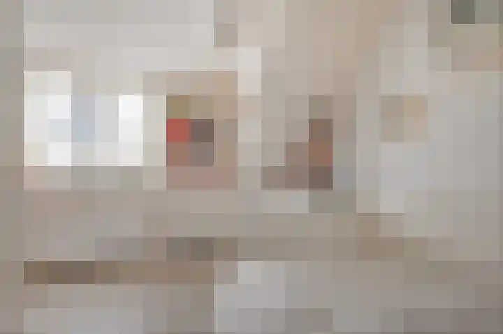 Nauerna 12 Assendelft thumbnail 27