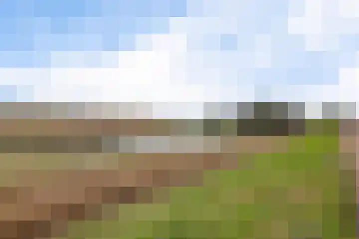 Nauerna 12 Assendelft thumbnail 39