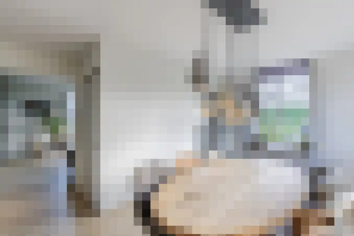 Nauerna 20 Assendelft thumbnail 13