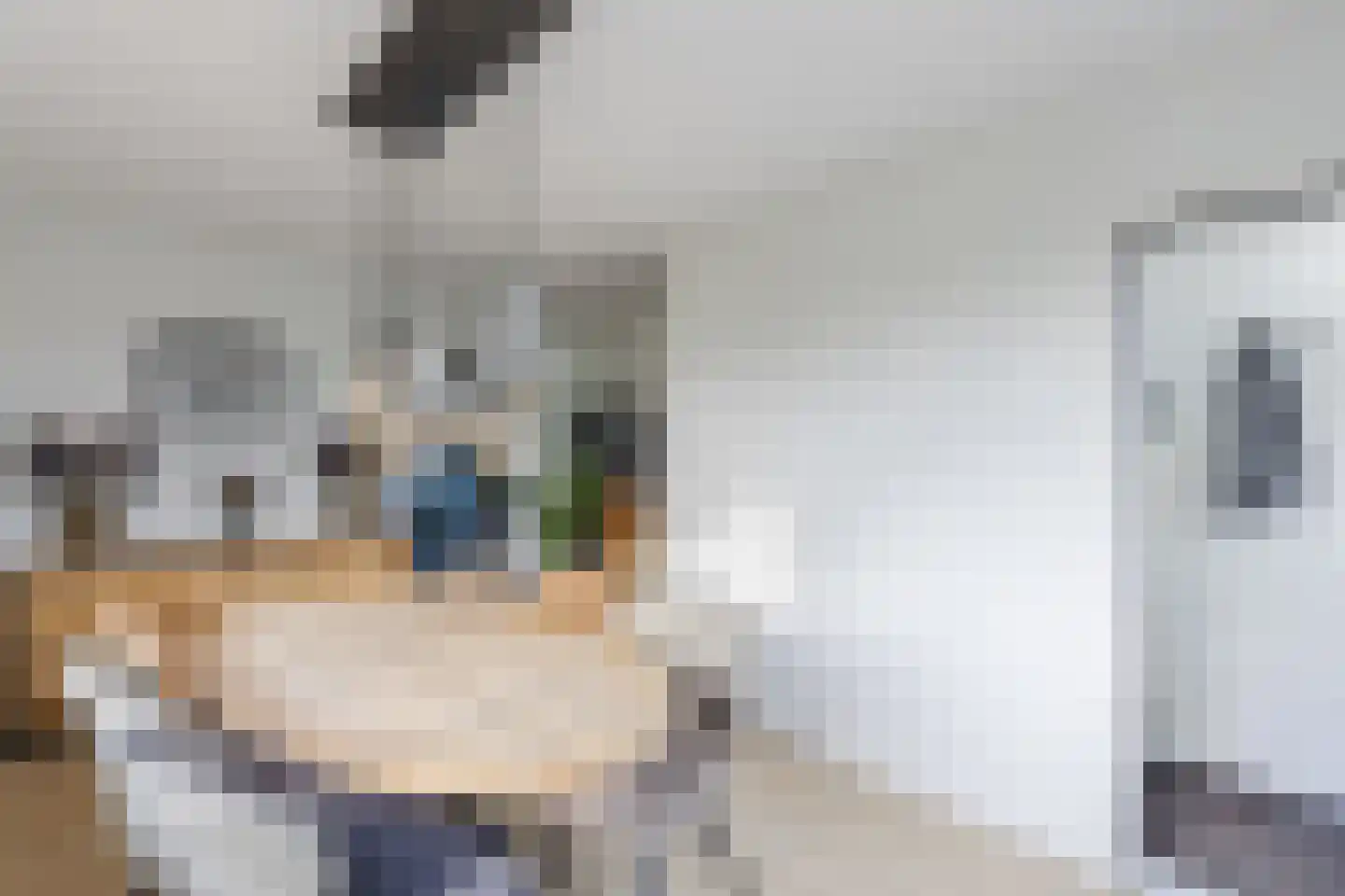 Nauerna 20 Assendelft thumbnail 16