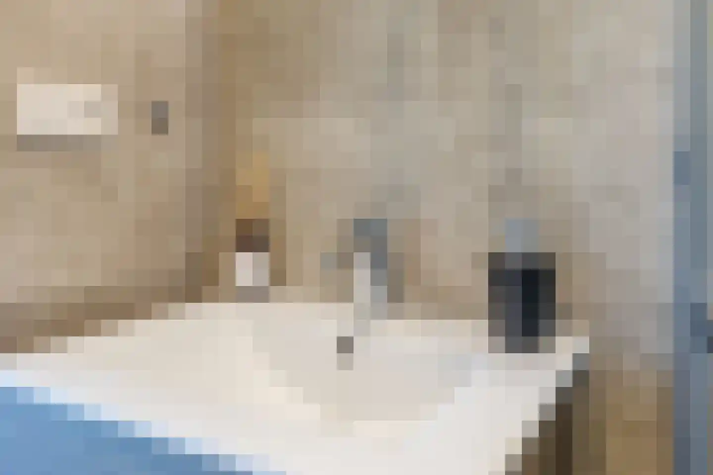 Nauerna 20 Assendelft thumbnail 27