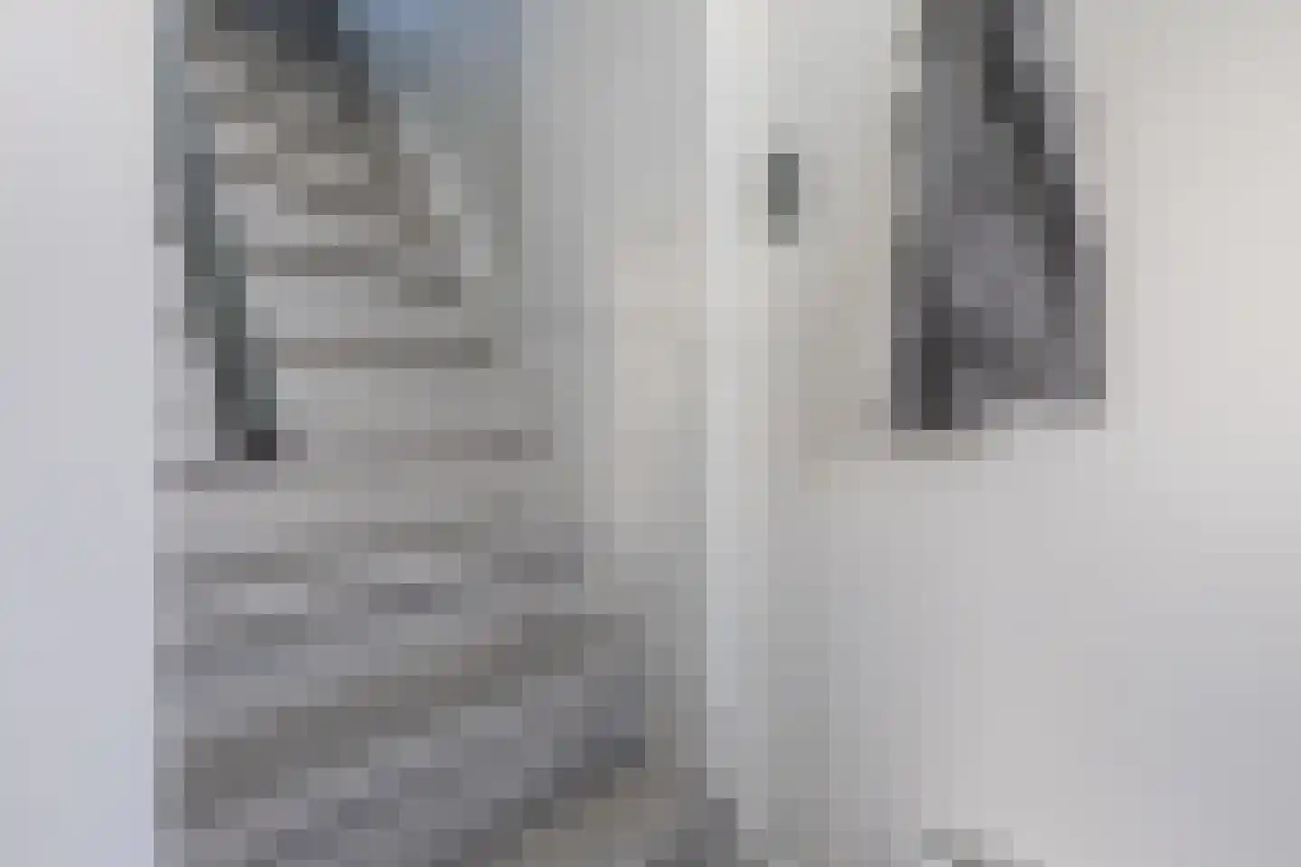 Nauerna 20 Assendelft thumbnail 28