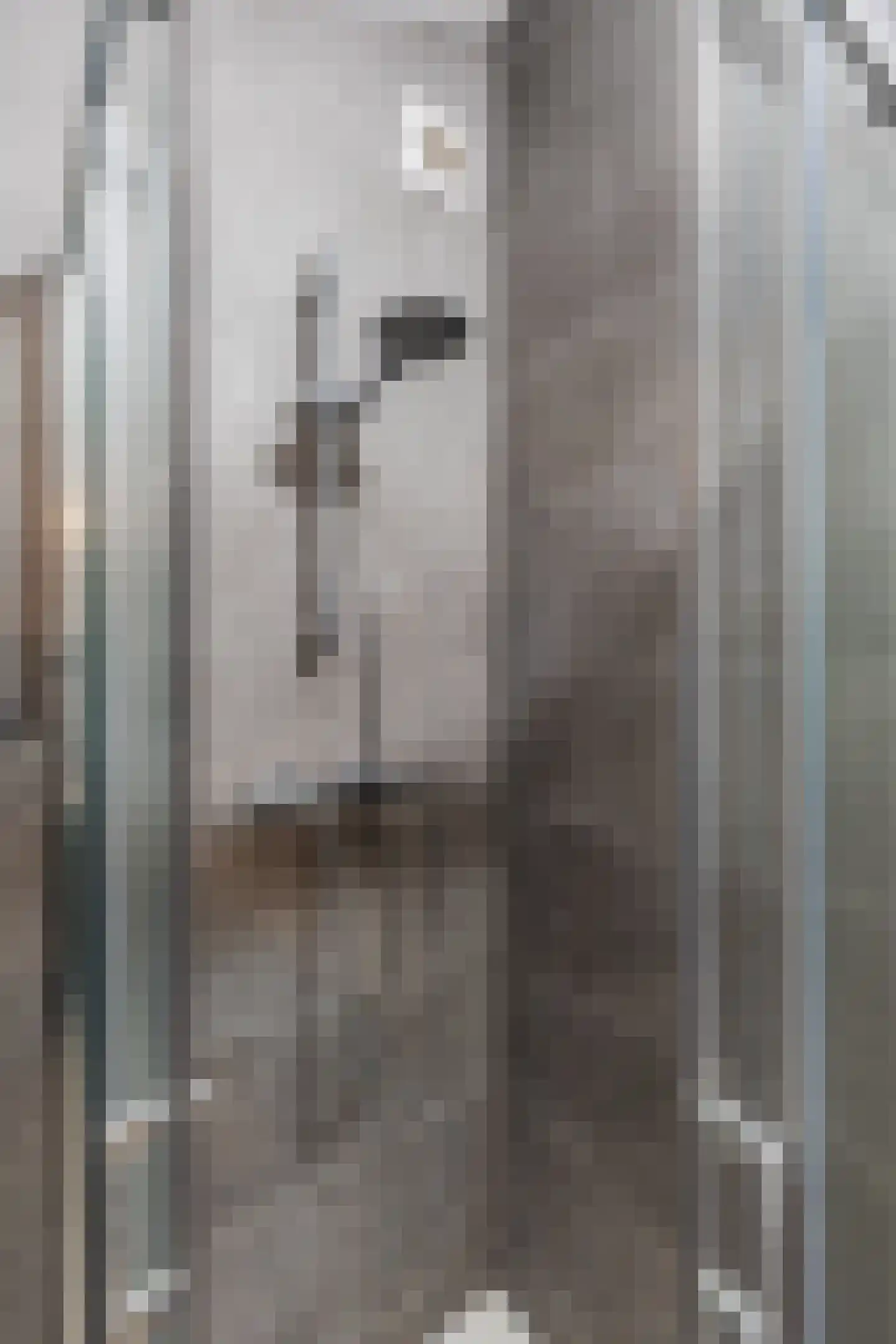 Nauerna 20 Assendelft thumbnail 35