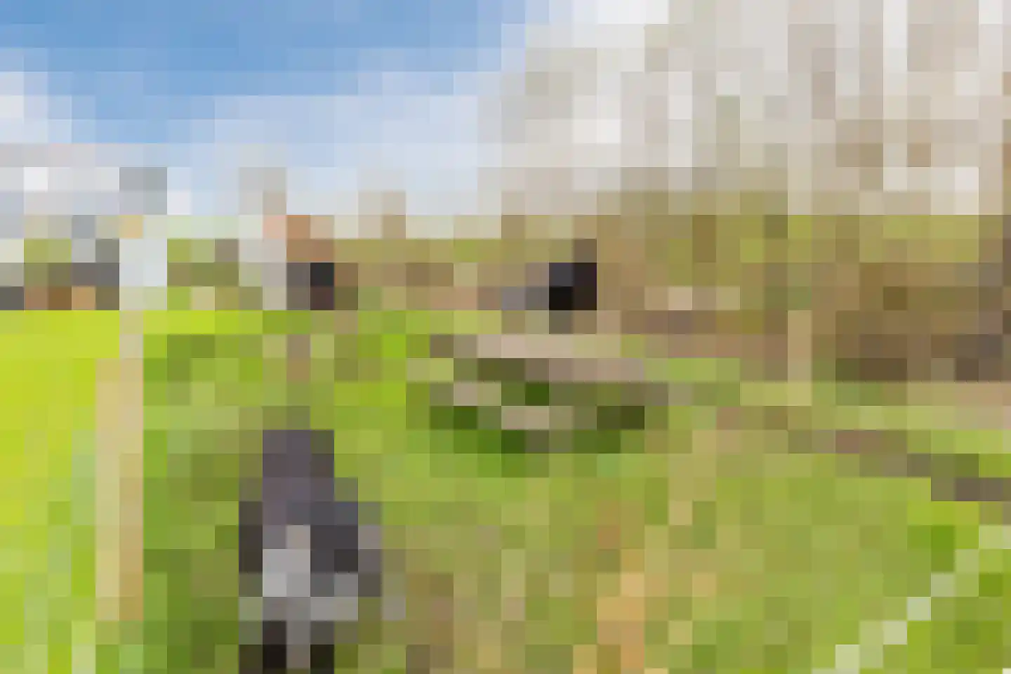 Nauerna 20 Assendelft thumbnail 59