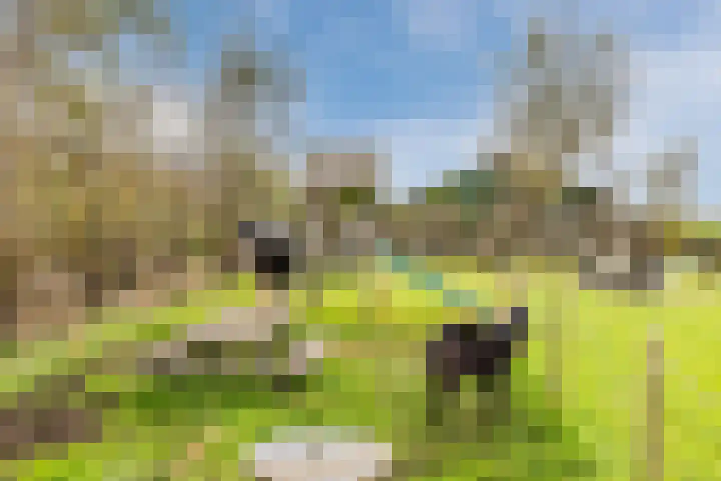 Nauerna 20 Assendelft thumbnail 60
