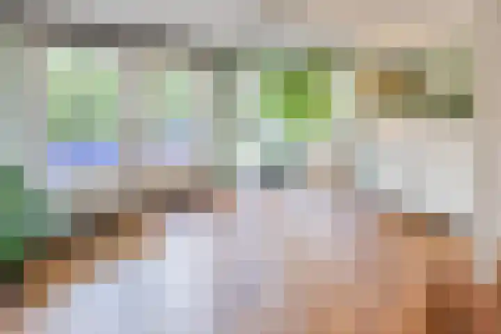 Nauerna 25 Assendelft thumbnail 29
