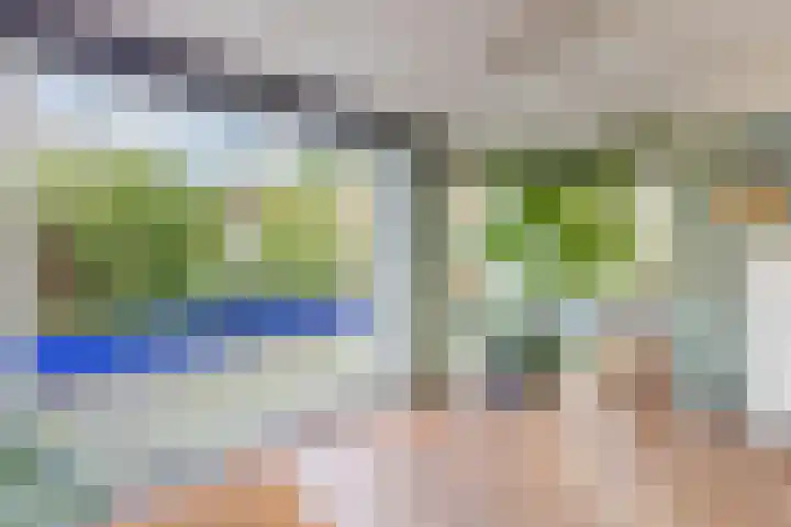 Nauerna 25 Assendelft thumbnail 30