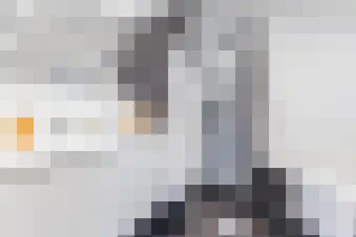 Nauerna 25 Assendelft thumbnail 31