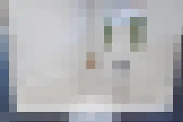 Nauerna 25 Assendelft thumbnail 33