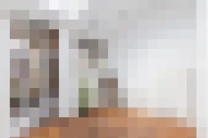 Nauerna 25 Assendelft thumbnail 36