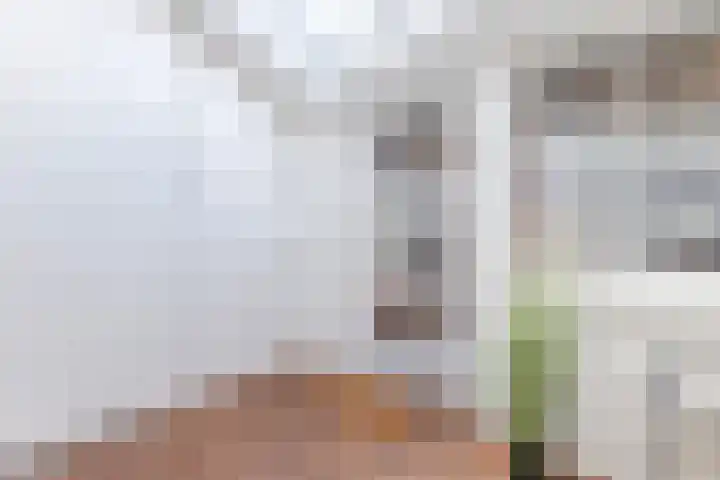 Nauerna 25 Assendelft thumbnail 37