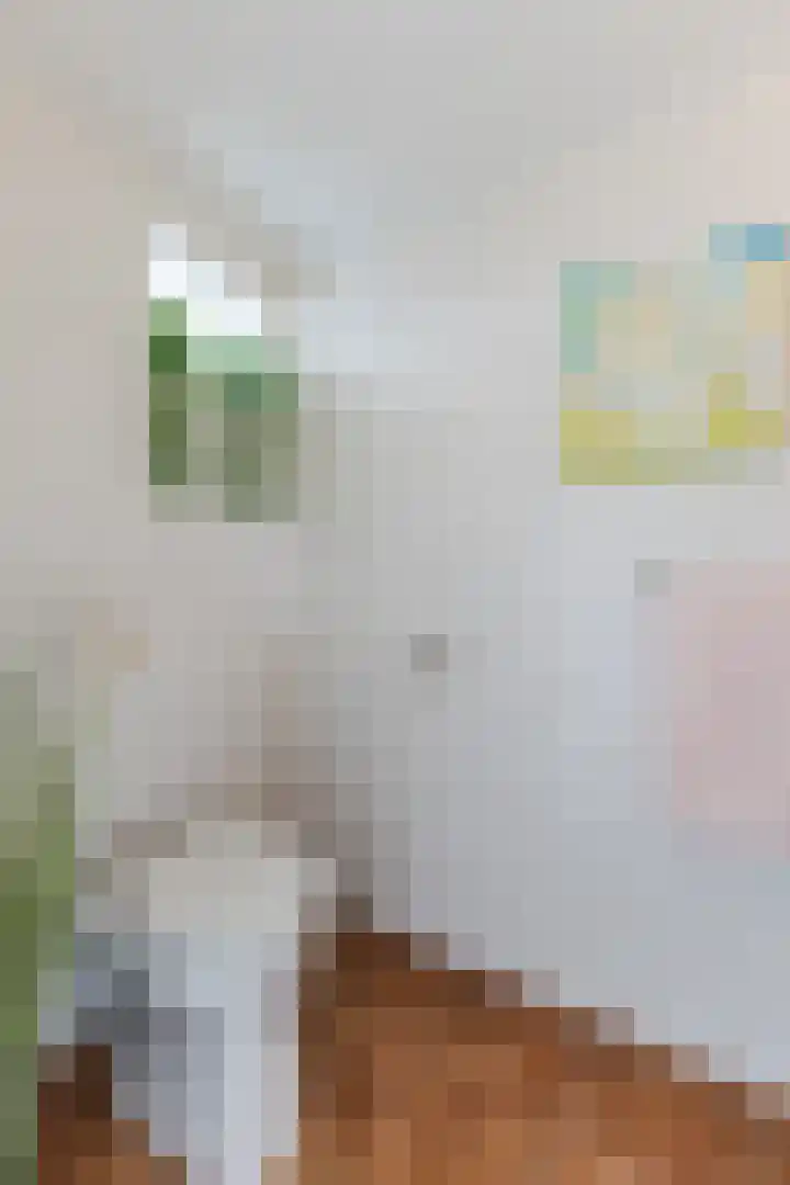 Nauerna 25 Assendelft thumbnail 43
