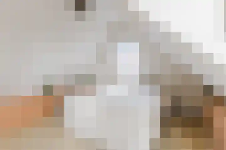 Nauerna 25 Assendelft thumbnail 47