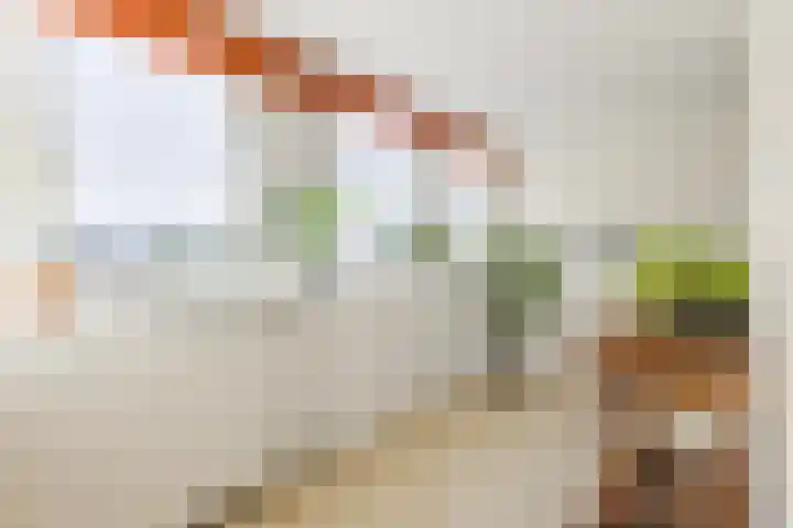 Nauerna 25 Assendelft thumbnail 49