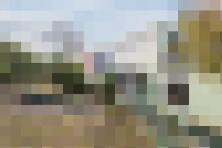 Nauerna 25 Assendelft thumbnail 5