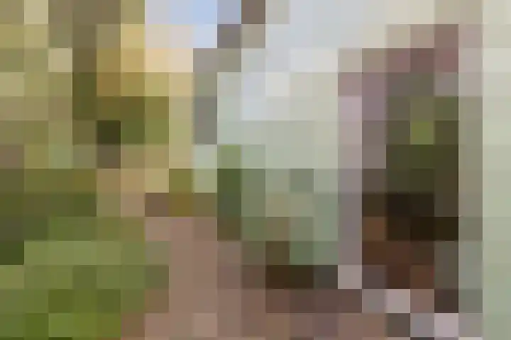 Nauerna 25 Assendelft thumbnail 55