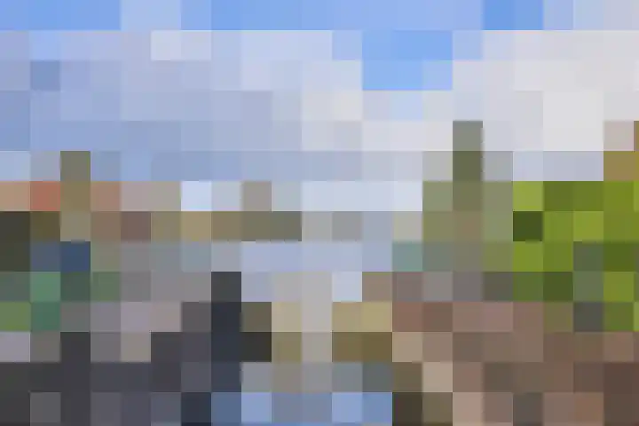Nauerna 25 Assendelft thumbnail 66