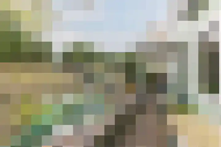 Nauerna 25 Assendelft thumbnail 7