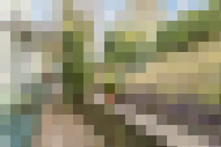 Nauerna 25 Assendelft thumbnail 9