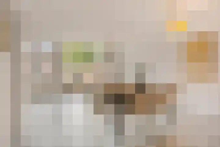Nautiluserf 35 Heerlen thumbnail 14