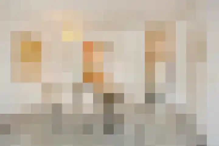 Nautiluserf 35 Heerlen thumbnail 19