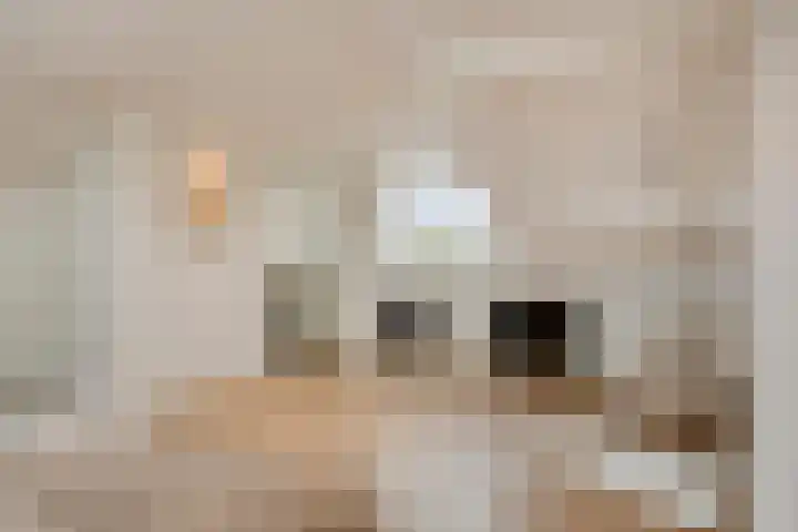 Nautiluserf 35 Heerlen thumbnail 31