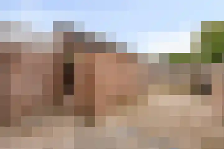 Nautiluserf 35 Heerlen thumbnail 33
