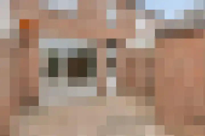 Nautiluserf 35 Heerlen thumbnail 34