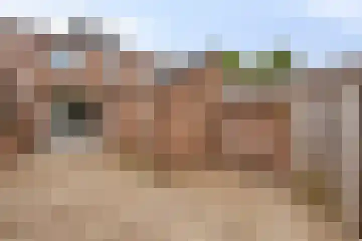 Nautiluserf 35 Heerlen thumbnail 36