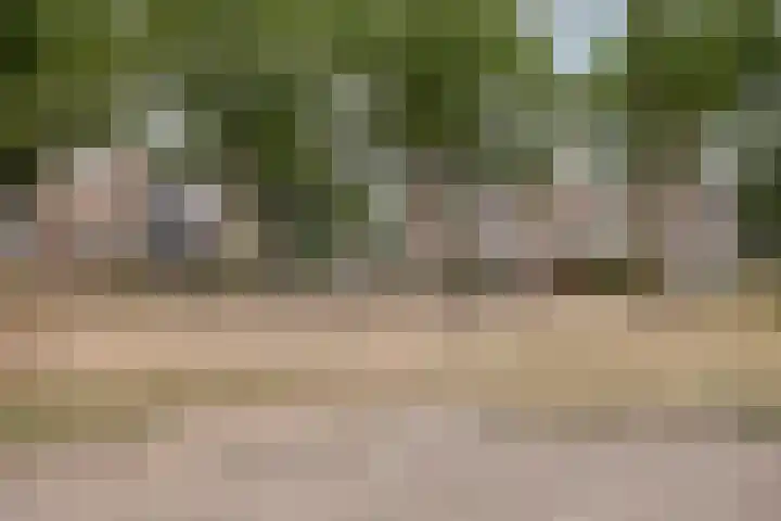 Nautiluserf 35 Heerlen thumbnail 37