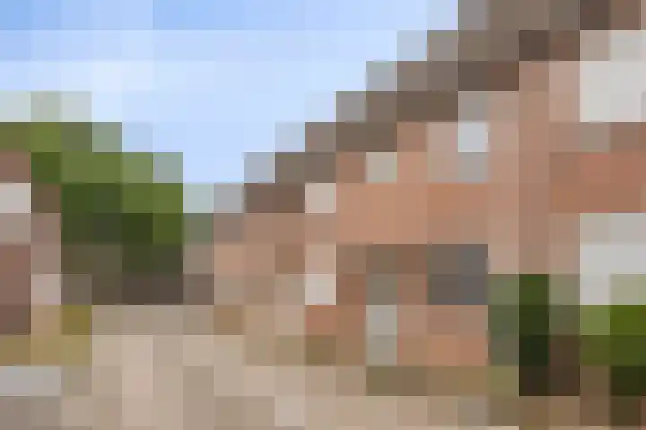 Nautiluserf 35 Heerlen thumbnail 8
