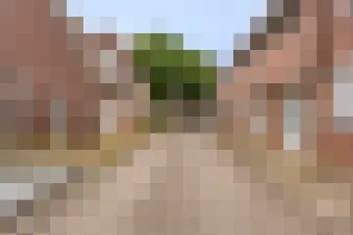 Nautiluserf 35 Heerlen thumbnail 9