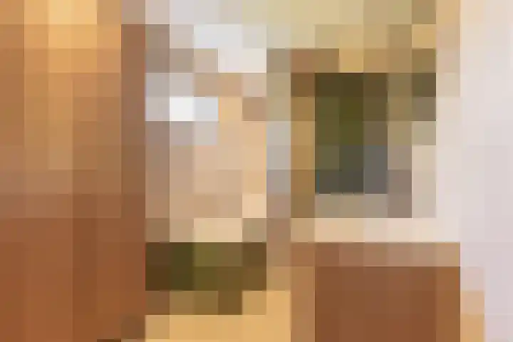 Naweg 15 Eext thumbnail 15