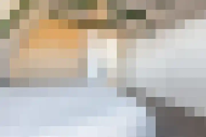 Naweg 15 Eext thumbnail 32