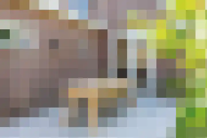 Naweg 15 Eext thumbnail 37
